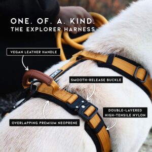MADE TO ROAM Premium Explorer Harness – Y-Shaped Dog Harness with Adjustable Durable Nylon, Soft Padding, Metal Buckles and Leather Handle for Small, Medium, Large Dogs (California Horizon, Size 1)