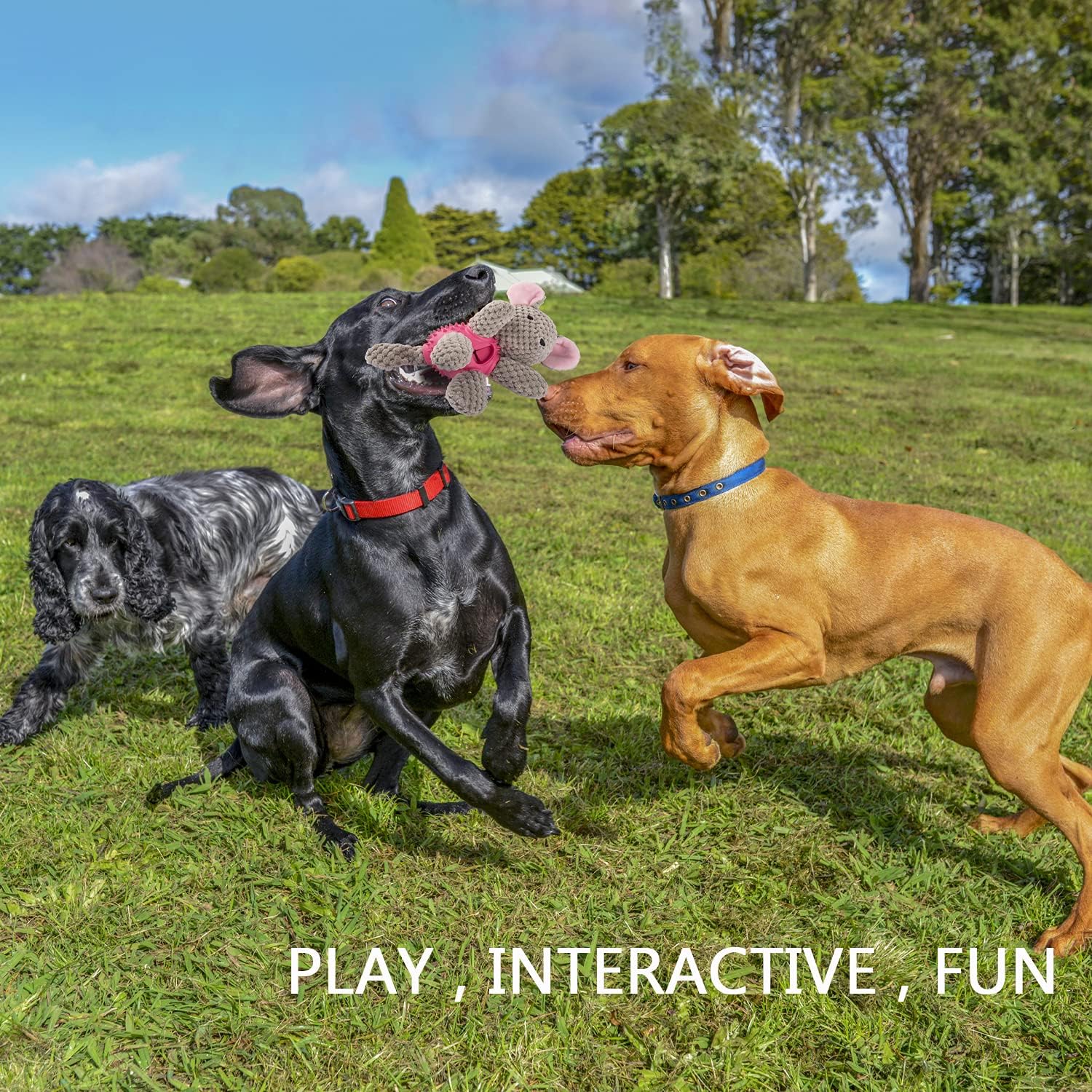 GOOLA Dog Squeaky Toys, Interactive Durable Plush Dog Toy with Squeaker and Crinkle Paper, Natural Rubber Chew Puzzle Dog Toys Leakage Food Toy for Puppy Small Middle Large Dogs, Soft Pet Toys - Image 3