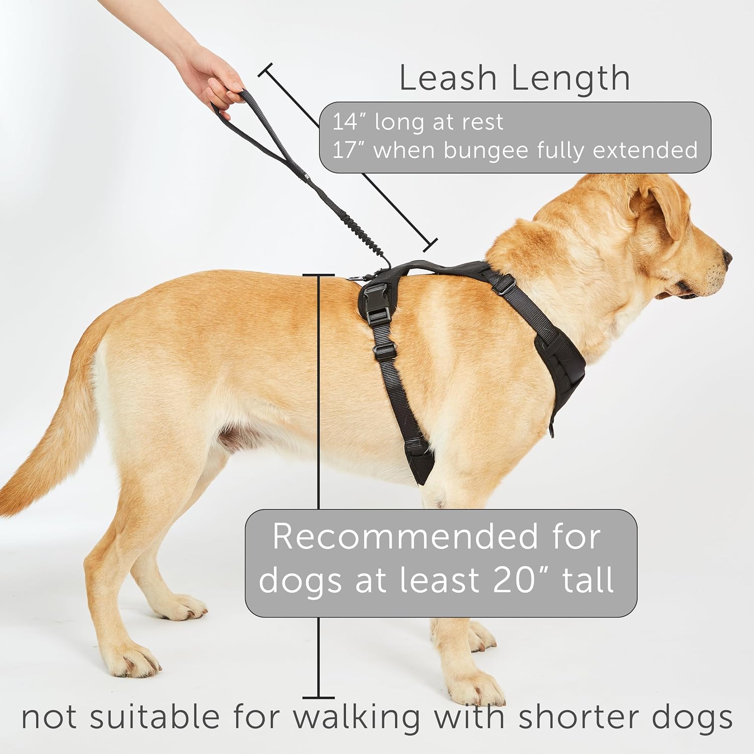 TUG Grab Dog Harness | Integrated Traffic Leash Magnetically Attached for Quick Control (Large/Cream) - Image 6