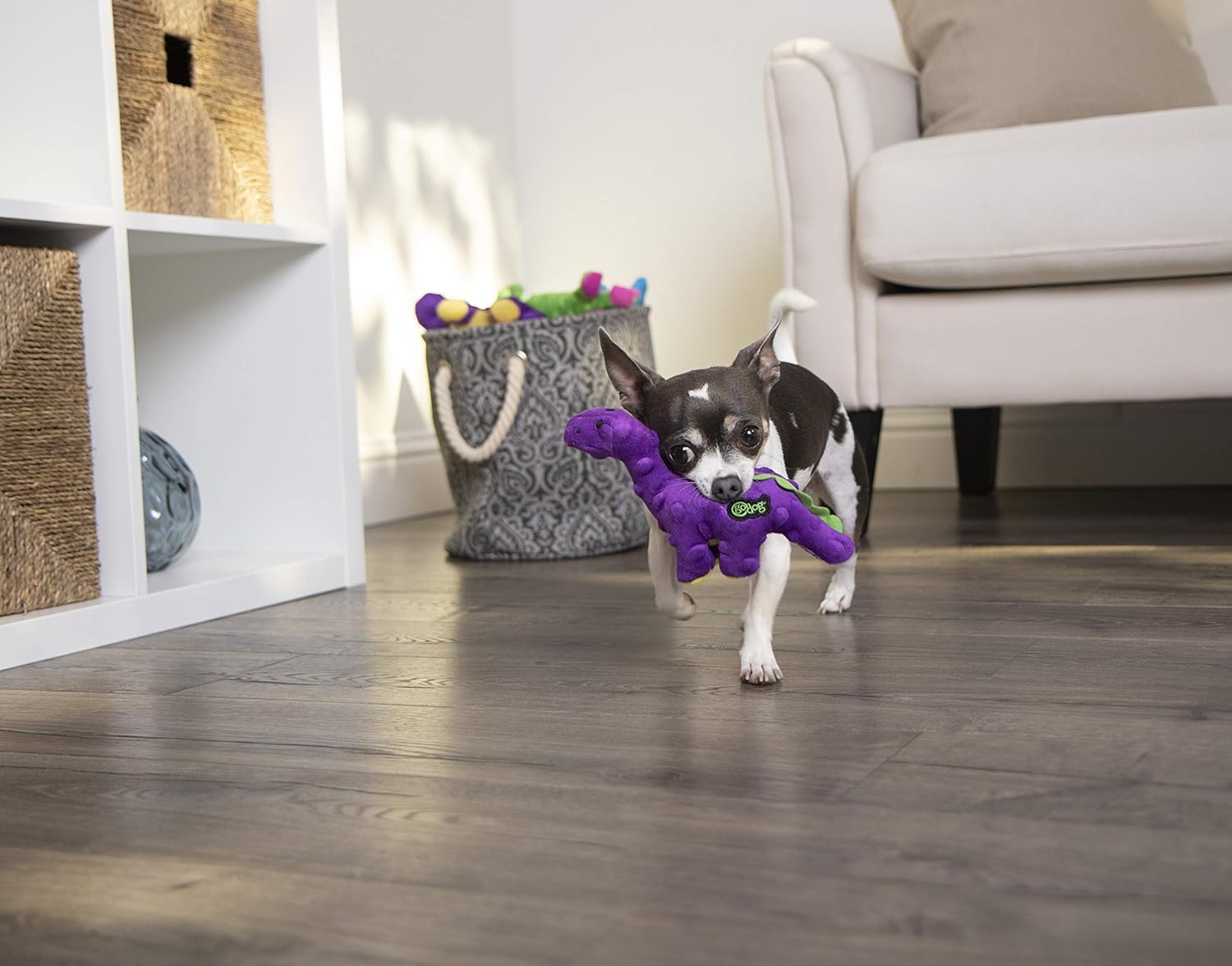 goDog Just For Me Dinos Bruto Squeaky Plush Dog Toy, Chew Guard Technology - Purple, Mini - Image 3