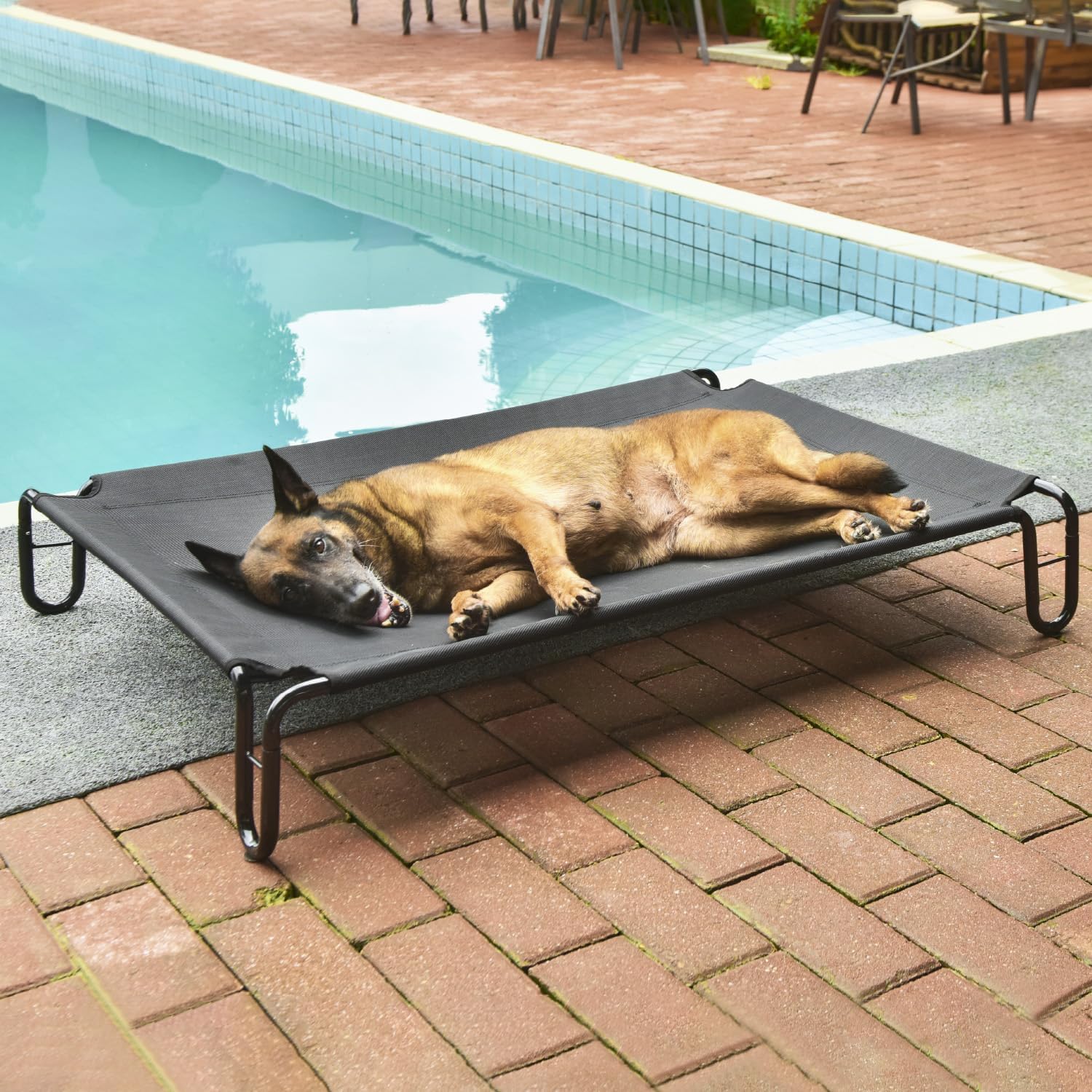 pettycare Elevated Outdoor Dog Bed - Raised Bed for Large Dogs, Waterproof Cot Easy to Assemble, Cooling Elevated Cot with Breathable Teslin Mesh, Durable, Non Slip, Up to 65 lbs,Black - Image 7