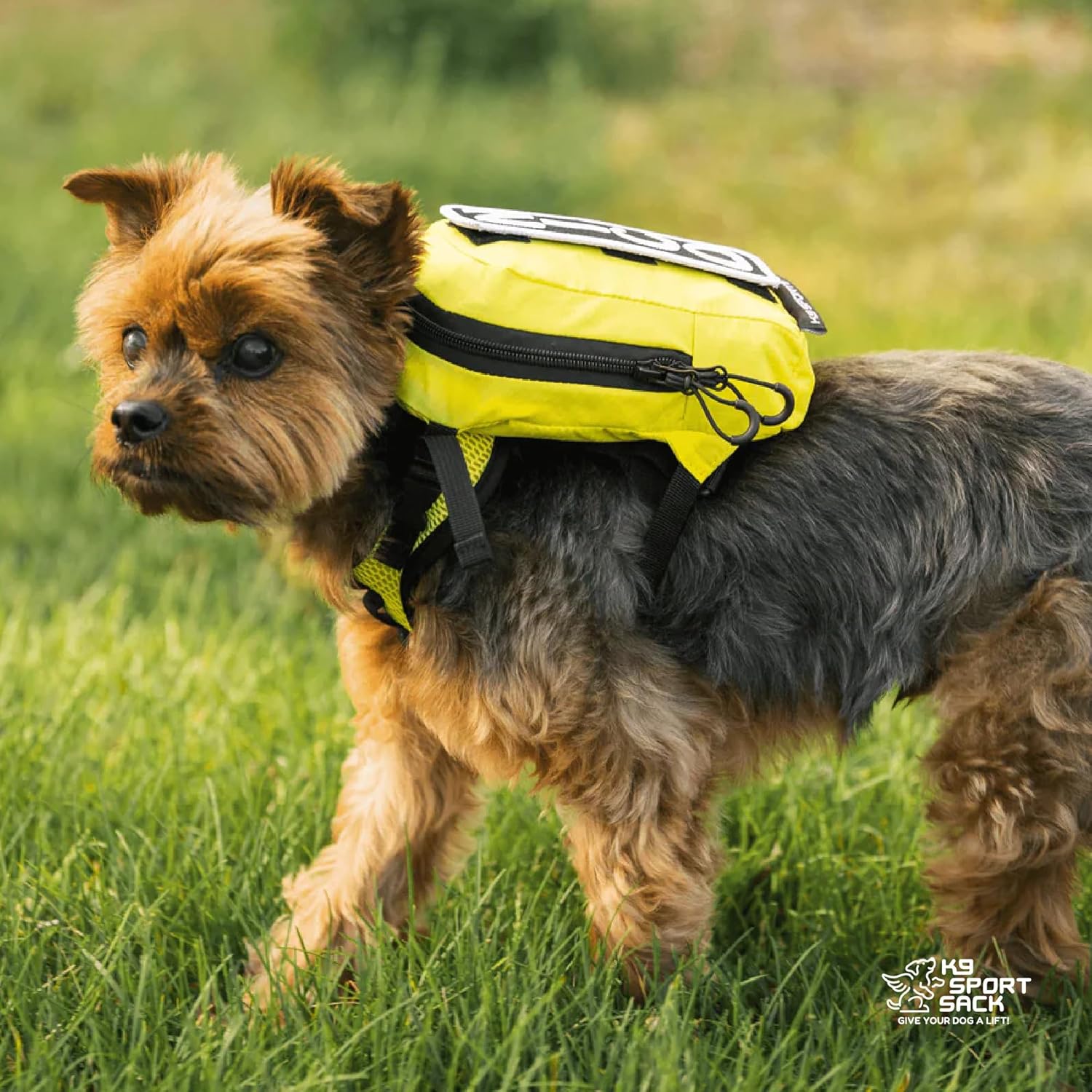 K9 Sport Sack Walk-On - X-Small, Sunset Orange - Ideal for Dogs with 9-12” Back Length - Lightweight, Packable, Backpack-Style Carrier - Includes Compatible Harness & Storage Bag - Image 6