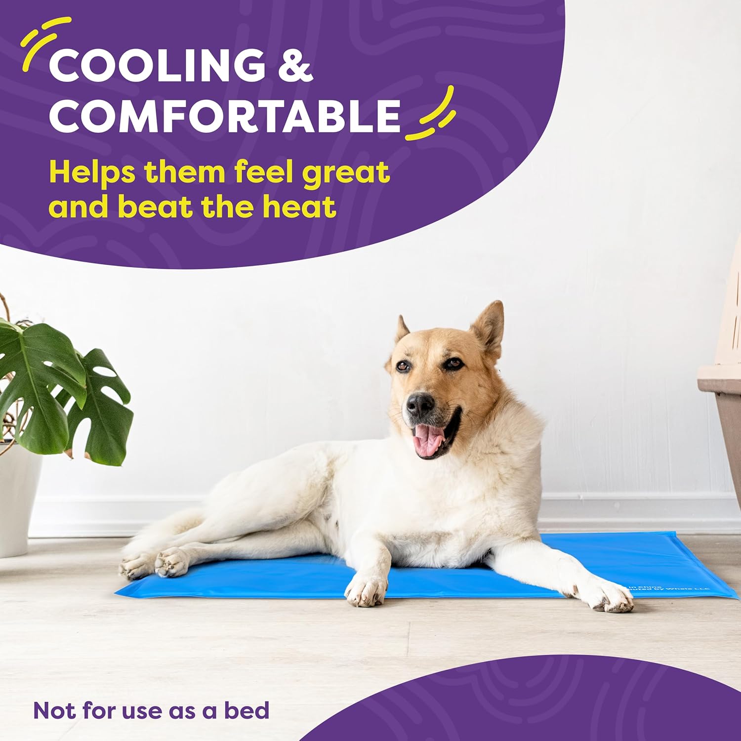 Hertzko Dog Mat & Chew Toy Set – Gel Pad with Innovative Gel Technology – Portable, Non-Toxic Pet Mat for Small to Medium Dogs & Cats up to 55 lbs – Ideal for Hot Days, Indoor & Outdoor Use - Image 8