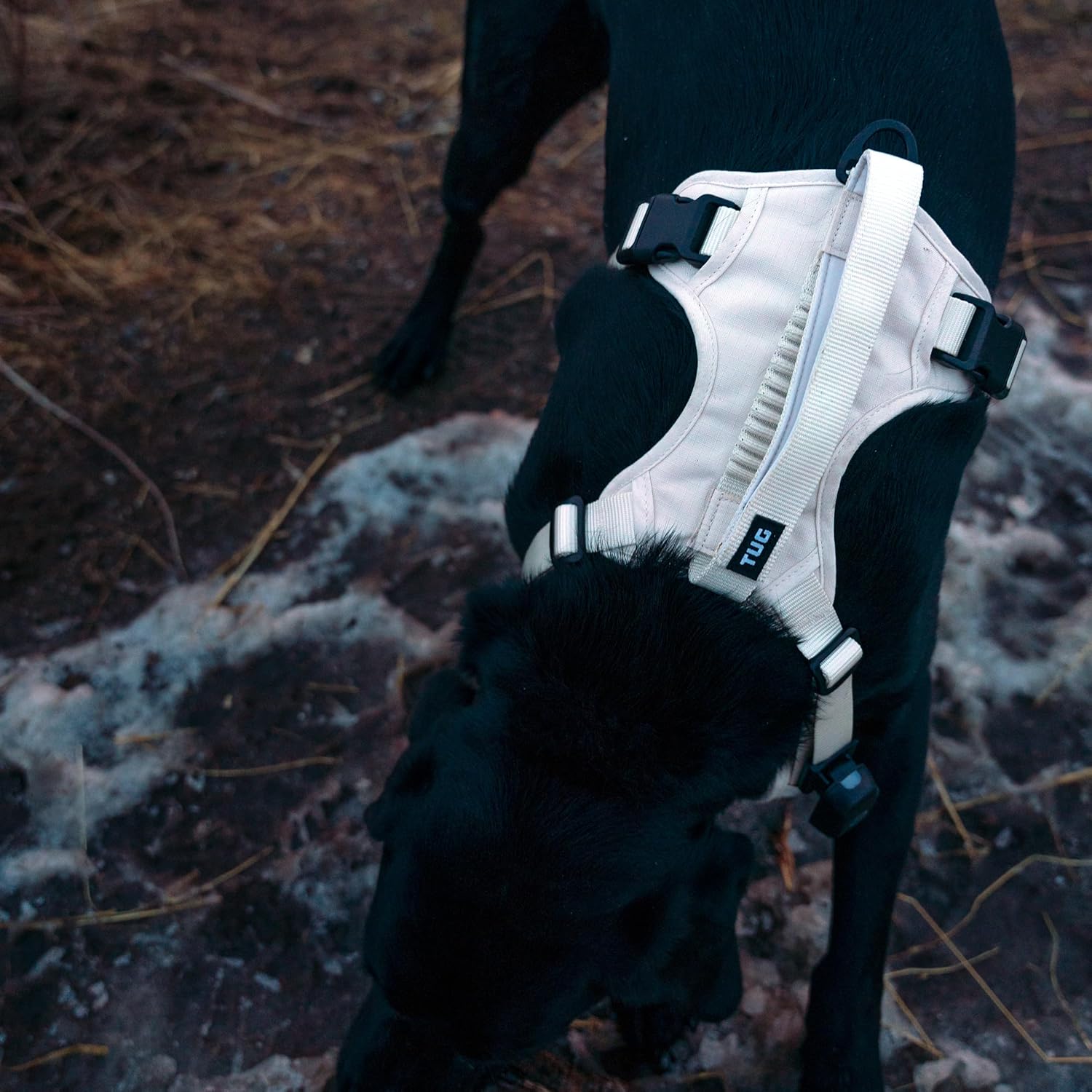 TUG Grab Dog Harness | Integrated Traffic Leash Magnetically Attached for Quick Control (Large/Cream) - Image 7