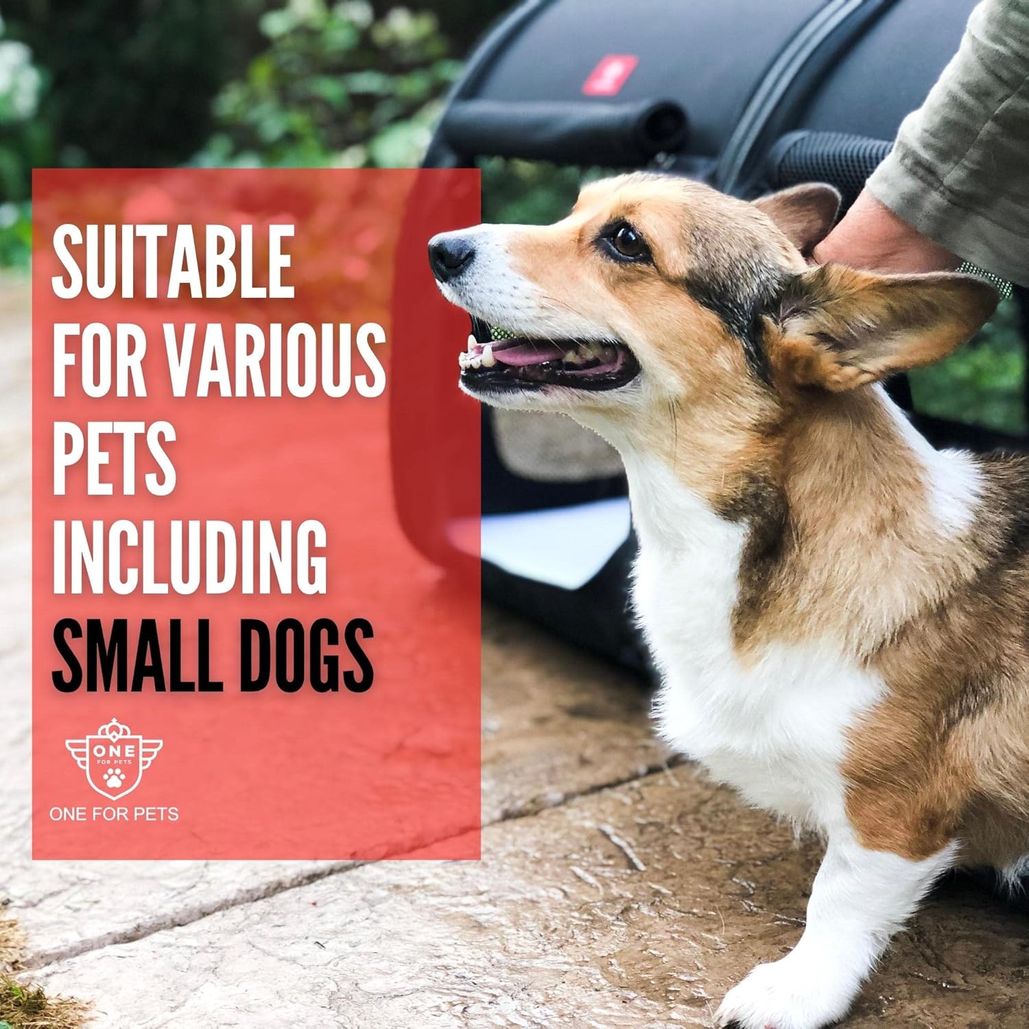 Portable 2-in-1 Double Pet Kennel/Shelter, Fabric, Black/Royal Blue 20"x20"x39" - Car Seat-Belt Fixture Included (Black) - Image 3