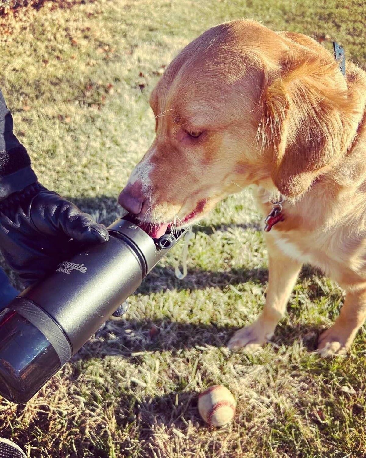 Stainless Steel Dog Travel Water Bottle, Vacuum Insulated Portable Dog Water Dispenser, Large Bottle with Drink Cup On The Go, Outdoor Walking, Hiking, Travel (Cobalt, 22oz) - Image 7