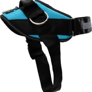 ShawnCo Essential Dog Harness, No-Pull Pet Vest with 3 Leash Clips, No Choke, Reflective, Adjustable and Padded, for Easy Walking and Training for Small, Medium and Large Dogs (Oceanic Blue, Medium)