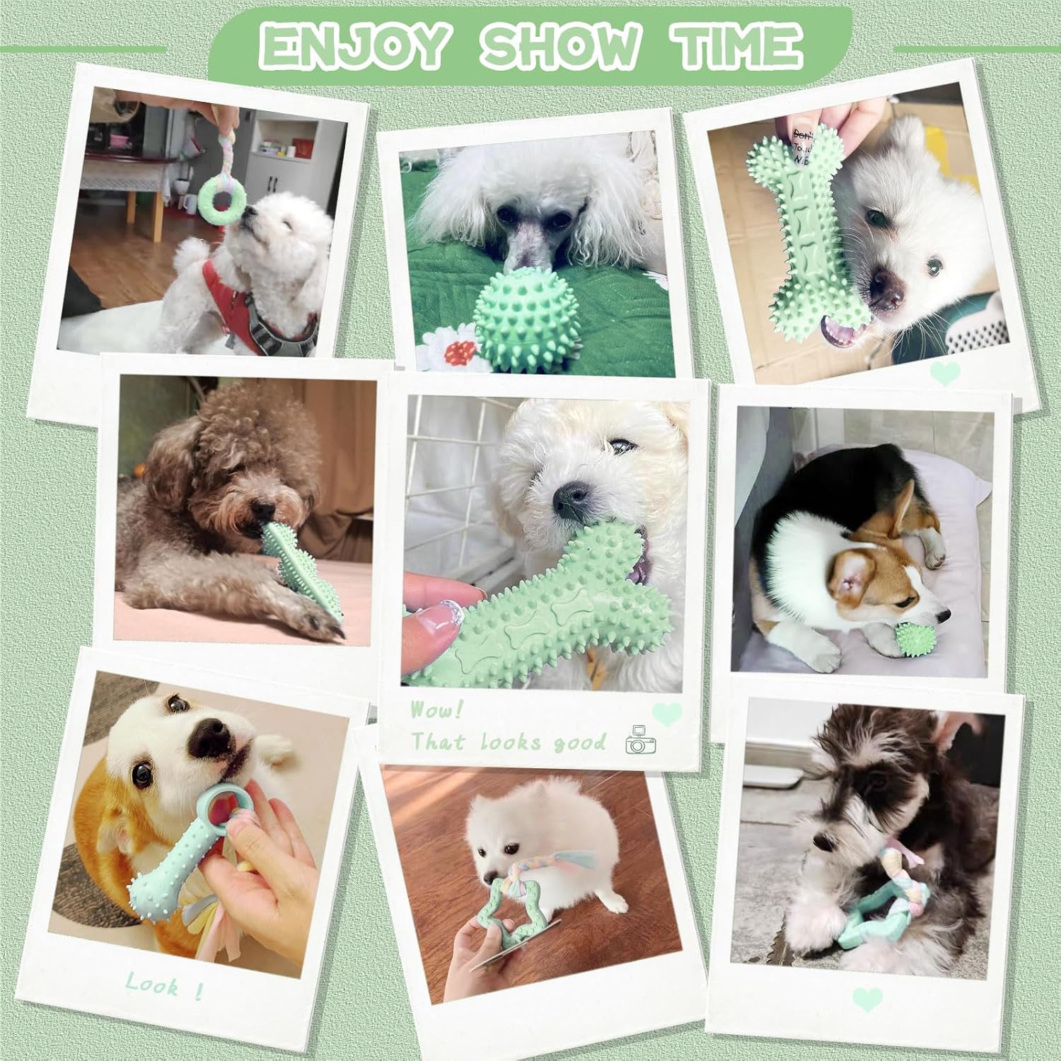 Petcare 6 Pack Small Dog Toys for Small Breed, Cute Green Puppy Teething Toys, Rubber Chew Toys, Essentials to Keep Them Busy, Best Pet Birthday Dog Toys - Image 8