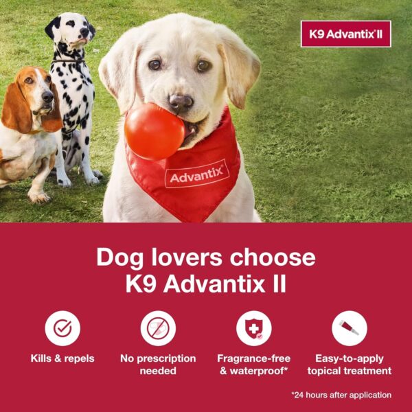K9 Advantix II Large Dog Vet-Recommended Flea, Tick & Mosquito Treatment & Prevention | Dogs 21-55 lbs. | 2-Mo Supply (Packaging may vary) - Image 3