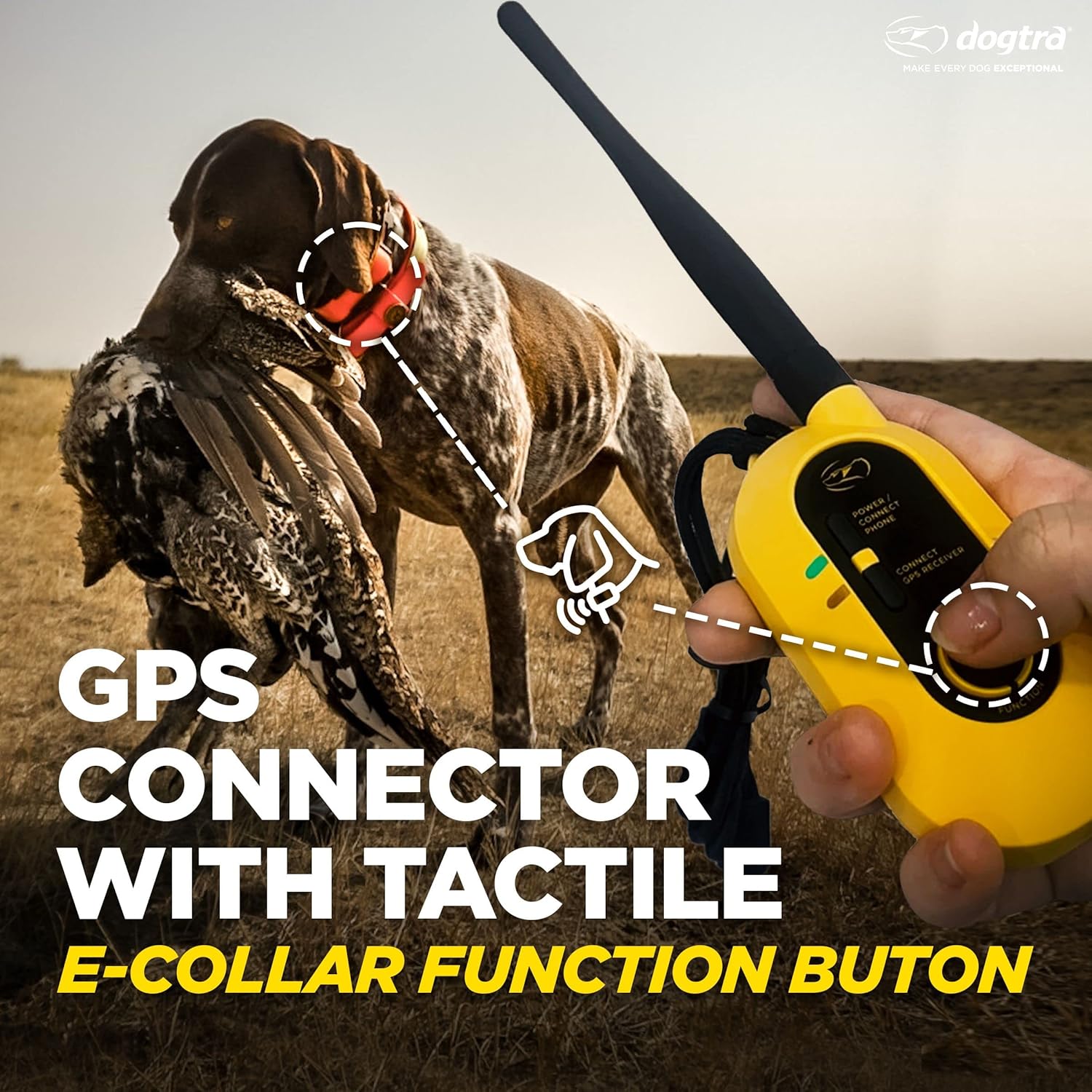 Dogtra Pathfinder 2 - Hunting Ecollar GPS Dog Training Collar with Remote, 9 Mile Range, Tracking & Containment for Medium & Large Dog Breeds, Electric GEO Fence Tracker, Stimulation, Vibration, Tone - Image 9