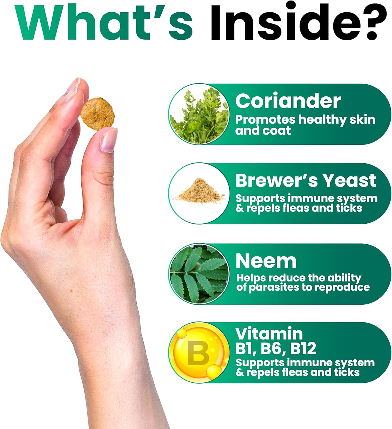 Flea and Tick Prevention for Dogs Chewables - Made in USA - Natural Flea and Tick Chews Supplement - Oral Pills for Dogs - Pest Defense - All Breeds and Ages - 120 Soft Tablets - Image 3