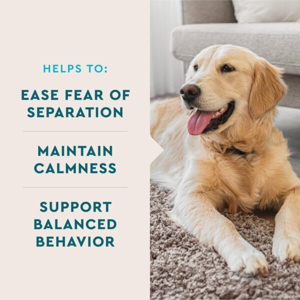 VetIQ Calming Support Supplement for Dogs, Calming Chews Help Manage Stress and Promote Relaxation, Anxiety Relief for Dogs, Made in The USA, 60 Count - Image 3