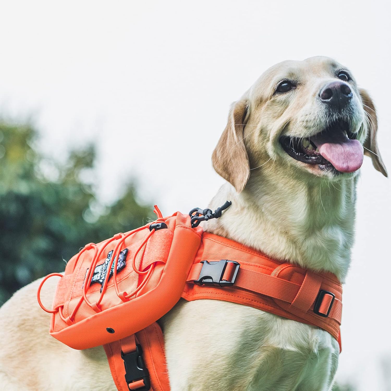 OneTigris Dog Backpack for Medium & Large Dogs, Mammoth Nylon Dog Pack Tactical Backpack Harness with Side Pockets for Hiking Walking Training Running - Image 2