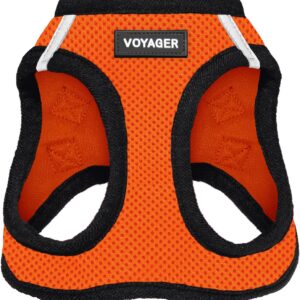 Best Pet Supplies - All Weather Mesh, Reflective, No Pull Harness for Small, Medium Dogs, Cats - Secure with Hook & Loop Fastener, Buckle, Double D-Rings - Orange/Black Trim, S