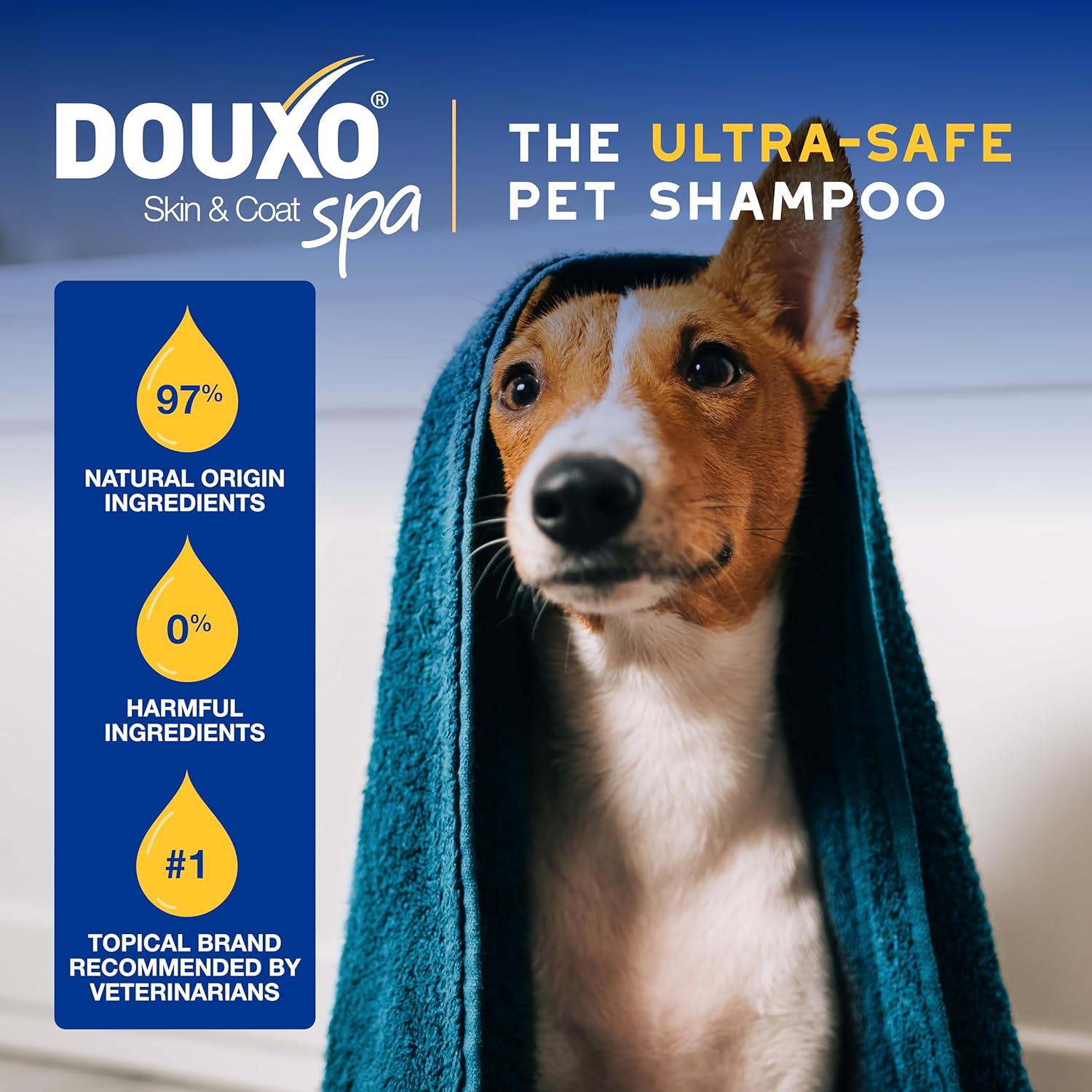 DOUXO® Skin & Coat SPA - Ultra-Safe Oatmeal Dog Shampoo, 16 fl oz, Cleans and Deeply Hydrates The Skin, Enhances The Coat, Leaves The Coat Soft and Radiant, Skin-Friendly Formula - Image 5