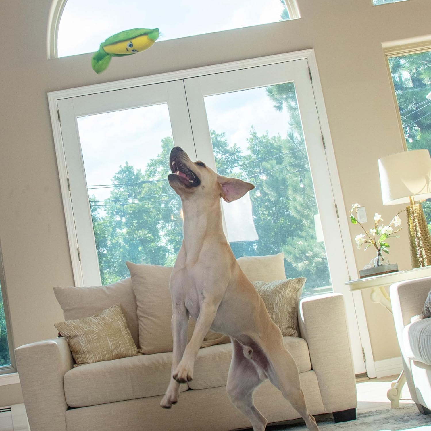 Outward Hound by Nina Ottosson Hide N' Find Interactive Plush Dog Puzzle, Durable Dog Toy, Plush Enrichment Toys, Corn, Multicolored - Image 5