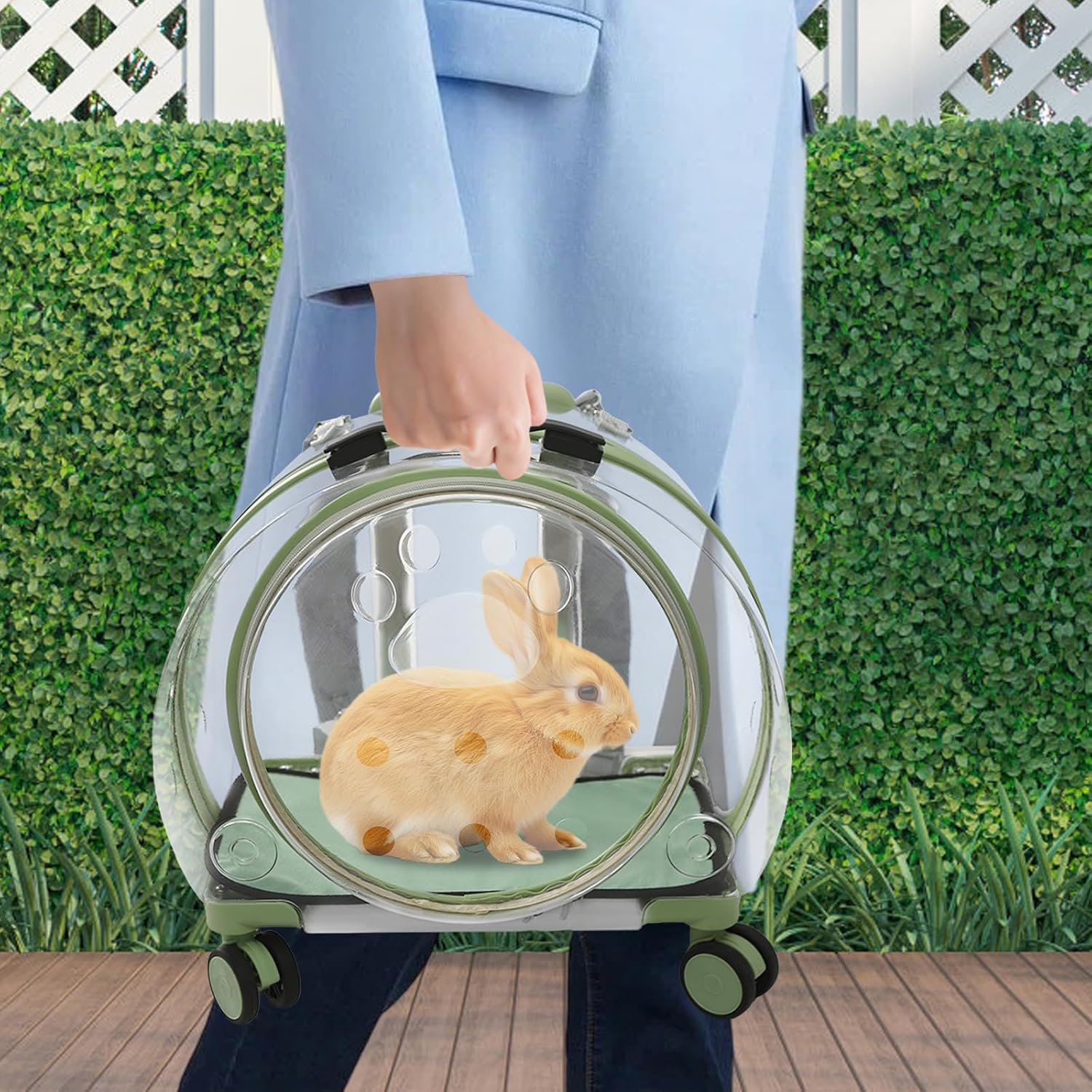 Transparent & Fully Breathable Hard Cat Carrier with Rolling Wheels, Multiple Carrying Carrier for Cats, Dogs, Or Bunnies for Traveling, Taking a Walk, Applicable Weighing up to 19.84lbs (Green,Clear) - Image 4