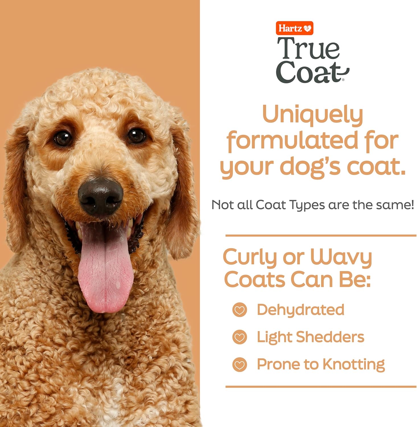 New! Hartz True Coat Curly or Wavy Coat Specific Dog Shampoo, Detangles & Conditions with Oat Milk, Coconut Oil & Shea Butter - Image 2