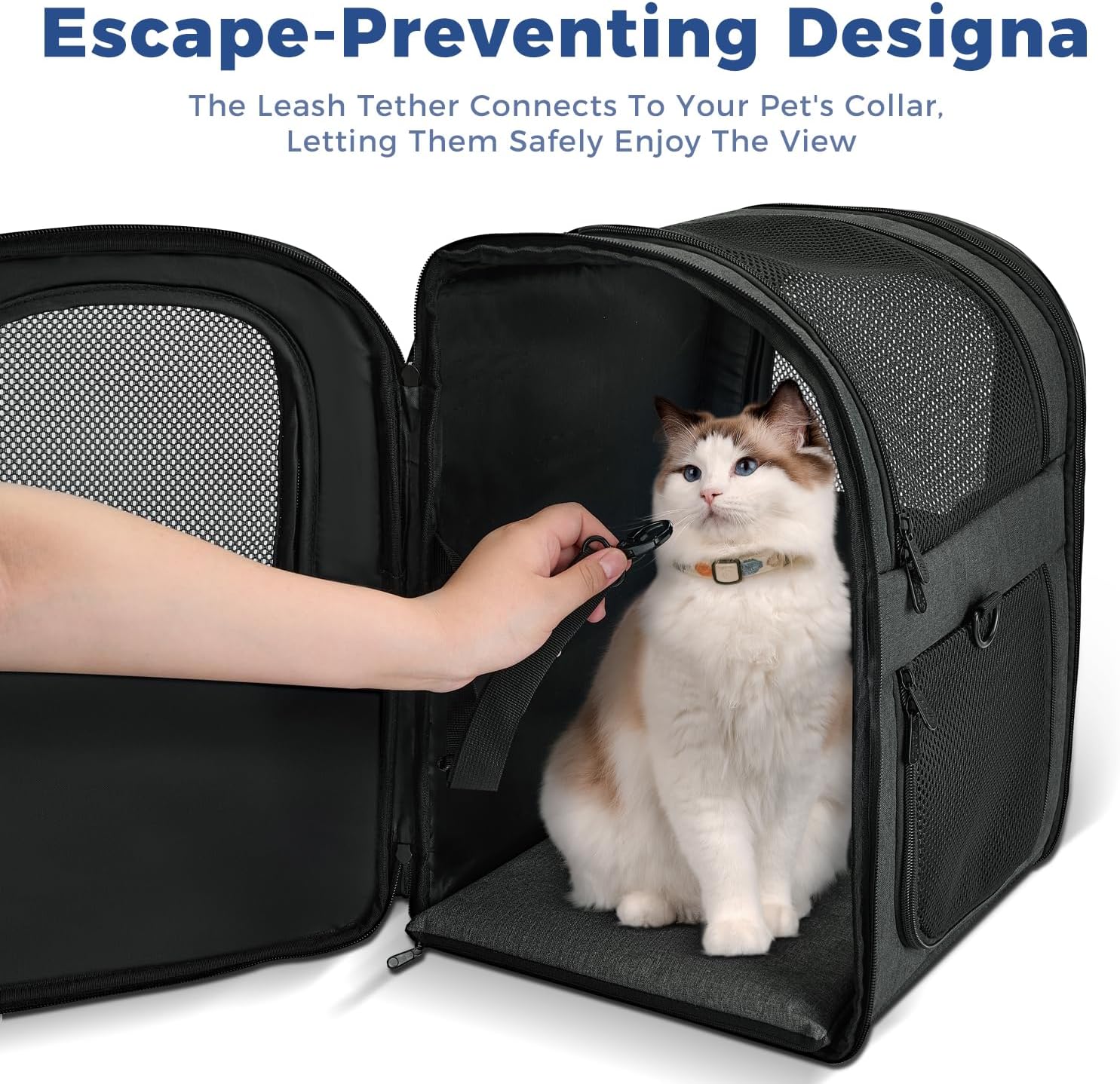 Apollo Walker Dog & Cat Carrier Backpack for 4-15lb Pets - Ventilated Safe Design with Padded Back Support, Breathable Mesh Pet Backpack for Hiking, Travel, Outdoor (Black) - Image 3