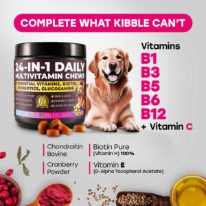 24-in-1 Complete Multivitamin Treats for Dogs – PhD Endorsed 8 Vitamins, Biotin, Probiotics, Glucosamine – Daily Wellness, Immunity, Skin & Coat, Mobility 140 Treats – Beef Flavor – Made in USA