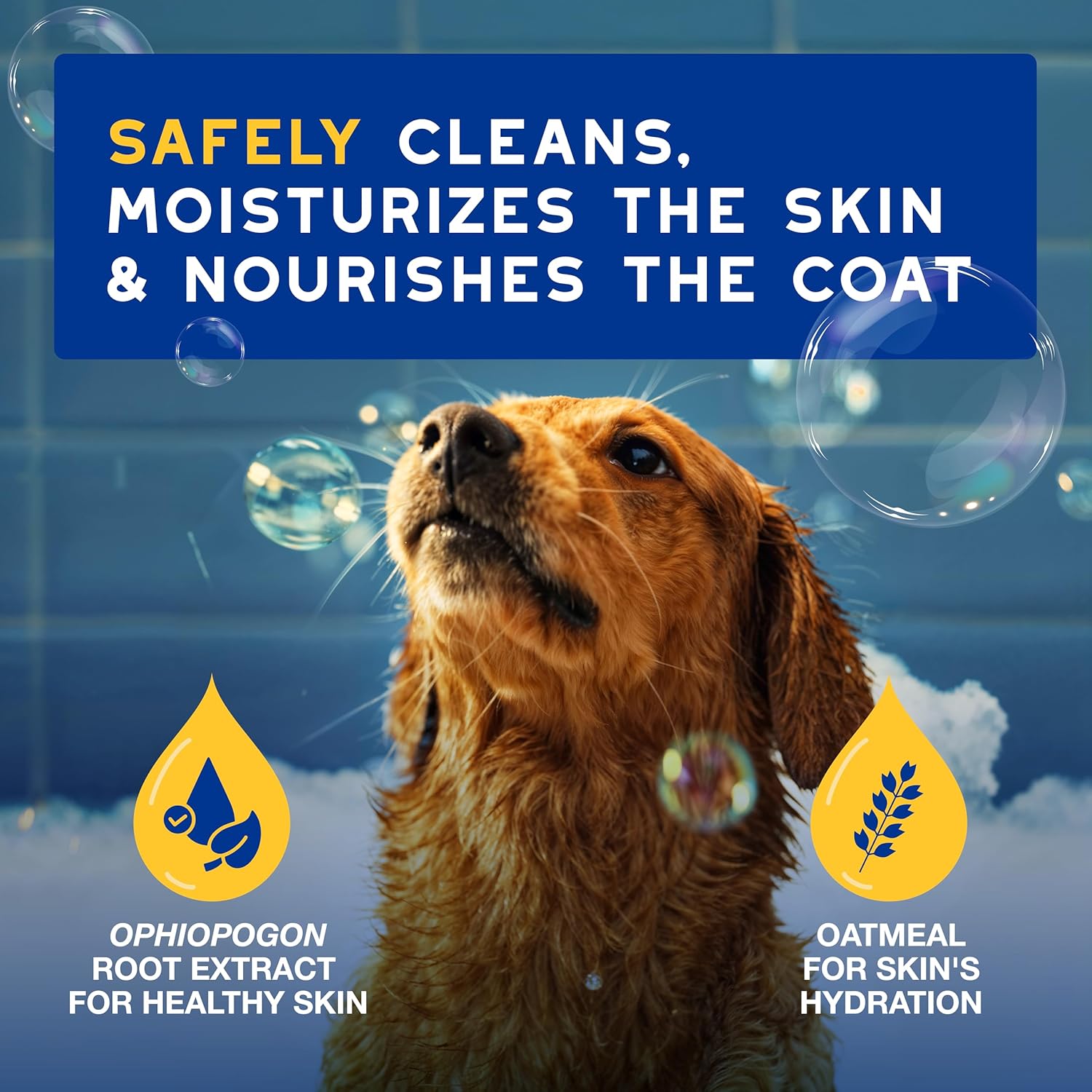 DOUXO® Skin & Coat SPA - Ultra-Safe Oatmeal Dog Shampoo, 16 fl oz, Cleans and Deeply Hydrates The Skin, Enhances The Coat, Leaves The Coat Soft and Radiant, Skin-Friendly Formula - Image 3