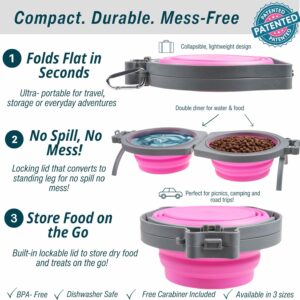 Loving Pets Bella Roma Double Diner Collapsible Dog Bowls – Silicone Dog Bowls, Foldable Bowl, Puppy Essentials & Hiking Pet Supplies Great for Home & Travel (Pink, Small)