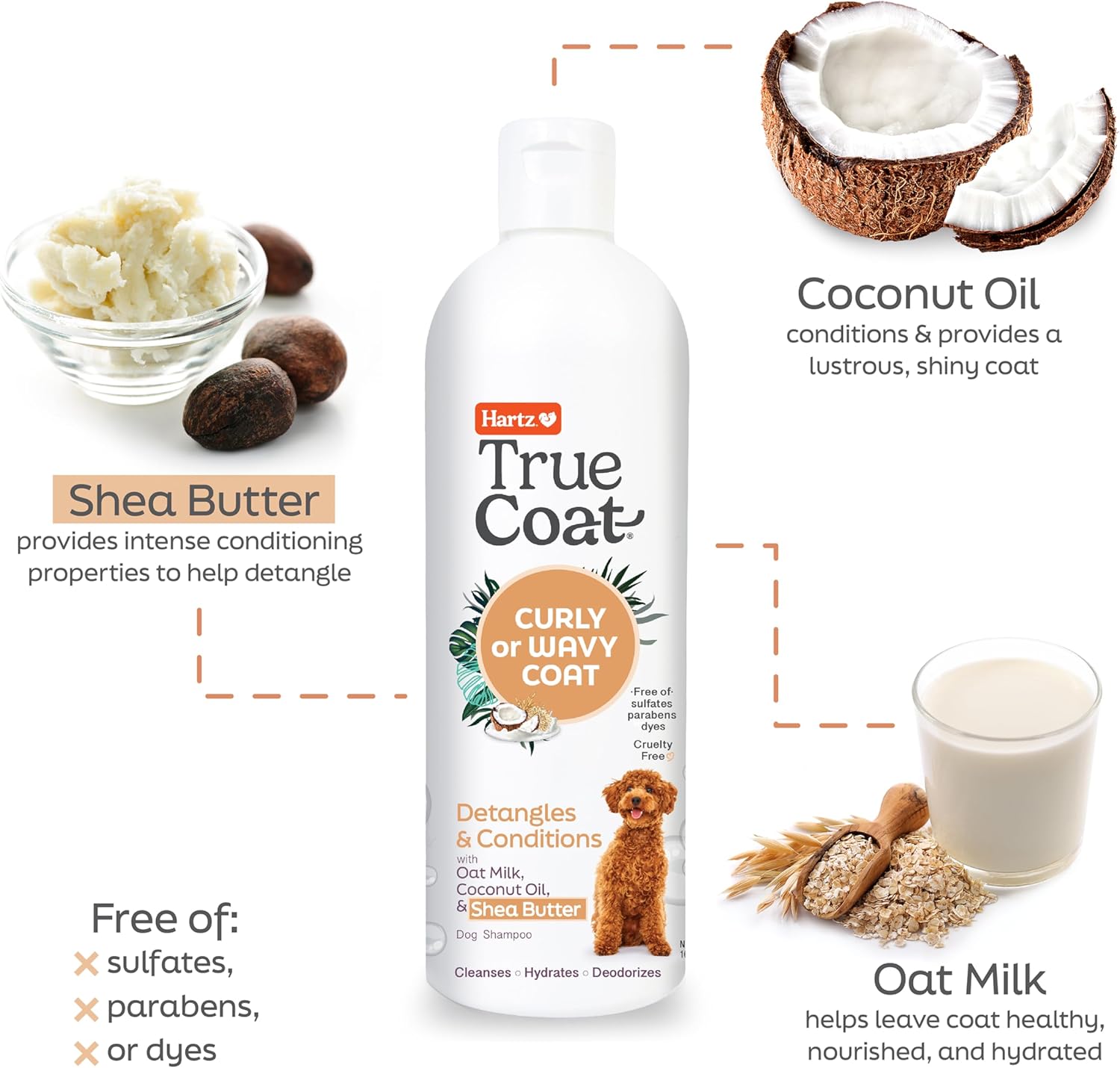 New! Hartz True Coat Curly or Wavy Coat Specific Dog Shampoo, Detangles & Conditions with Oat Milk, Coconut Oil & Shea Butter - Image 4