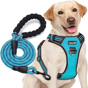 No Pull Dog Harness Adjustable Reflective Oxford Easy Control Medium Large Dog Harness with A Free Heavy Duty 5ft Dog Leash (L (Neck: 18"-25.5", Chest: 24.5"-33"), Blue Harness+Leash)
