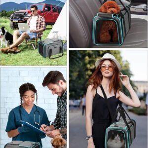 Cat Dog Carrier Bag, 5 Sides Open Doors, 2 Sides Expandable, Large Soft Sided Pet Carriers with Removable Pad, 19x12x12 Inch for Kitten, Rabbit, Puppy, Small Animal, Airline Approved