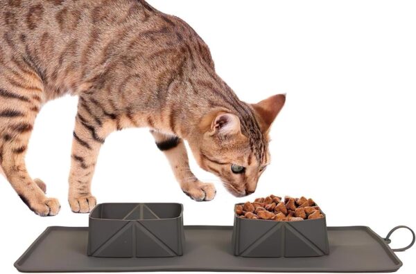 Generic Portable Pet Feeder, Silicone Bowls for Dog and Cat Travel, Collapsible Dish for Food and Water, 2-in-1 Solution with Adjustable Bow Ties - Image 5