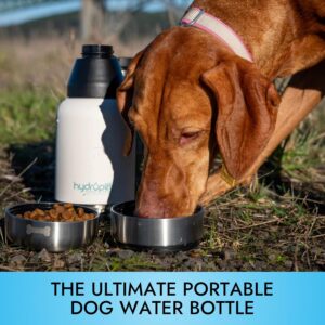 Hydropet Portable Dog Water Bottle (32 oz) – Insulated Dogs & Cats Travel Bottles, Stainless Steel – Detachable Dog Food Bowl and Water Bowl – Great for Daily Walks – Puppy Essentials & Accessories