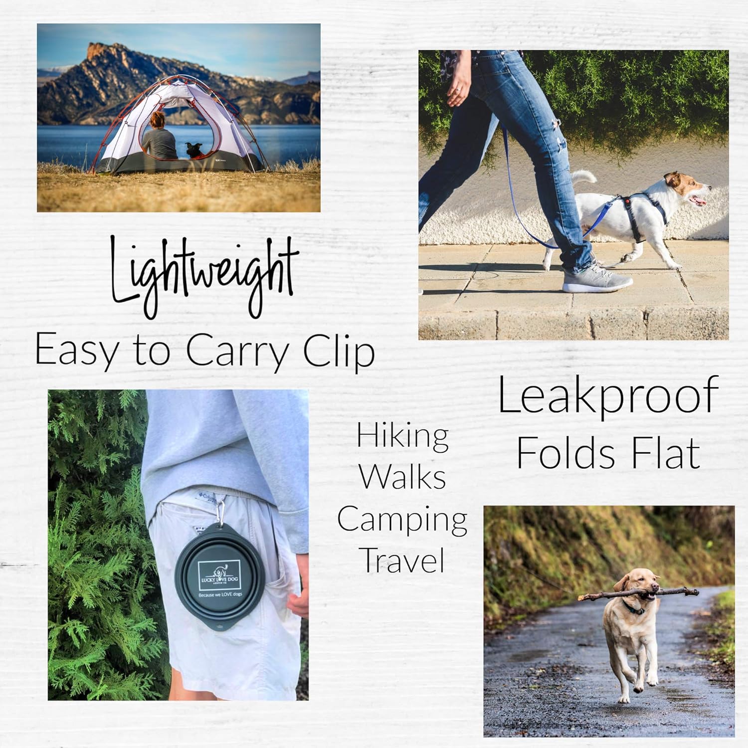 Lucky Love Dog Travel Dog Bowl, Collapsible Compact Water Dog Dish, Rose - Image 4