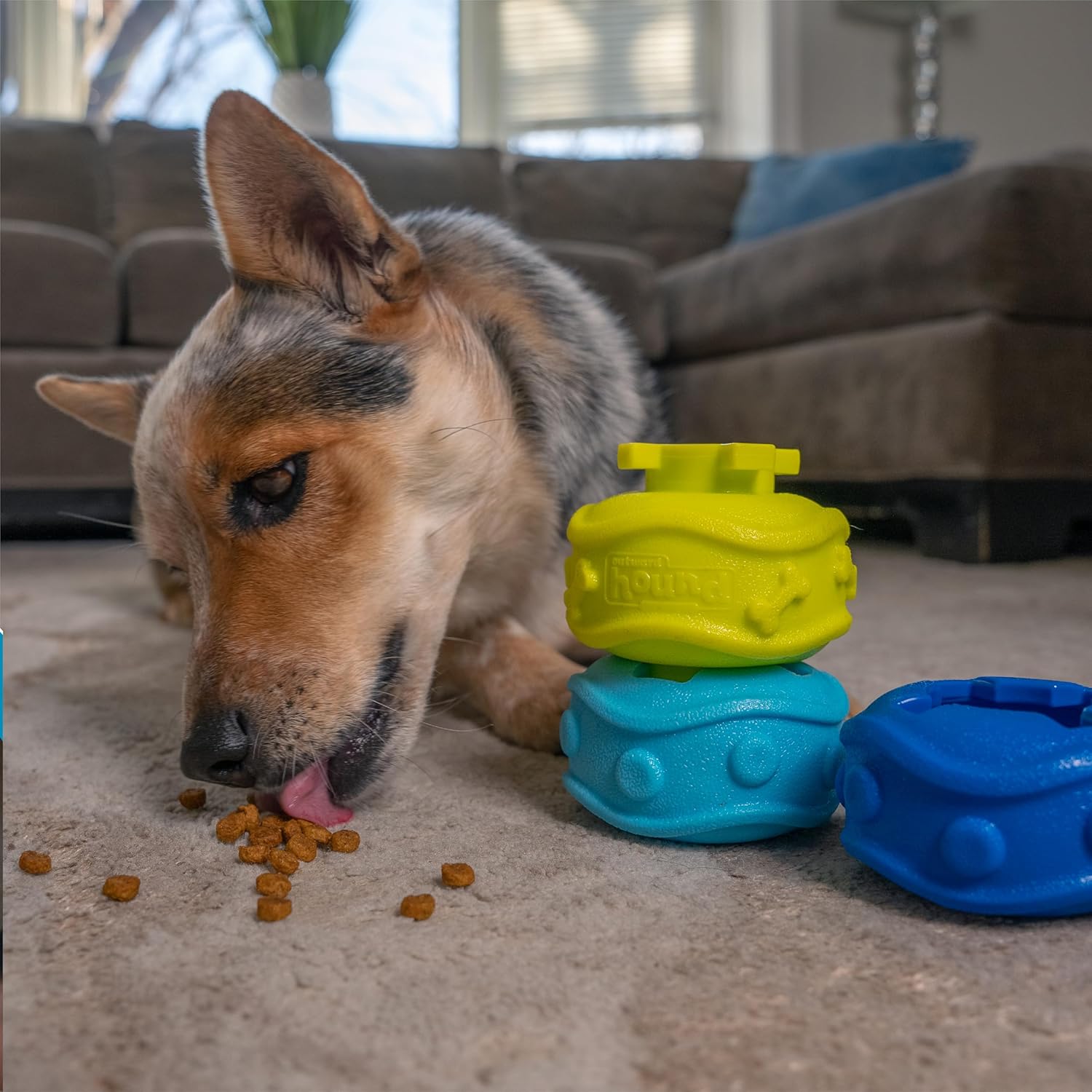 Outward Hound Treat Locking Discs Dog Treat Dispenser Puzzle Toy - Image 5