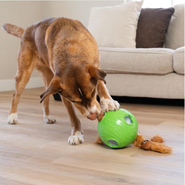 Outward Hound by Nina Ottosson Dog Snuffle N' Treat Ball Puzzle, Level 2 Intermediate, Green, Large - Image 8