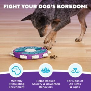 Outward Hound by Nina Ottosson Dog Twister Treat Puzzle Enrichment Toy, Level 3 Advanced, Purple