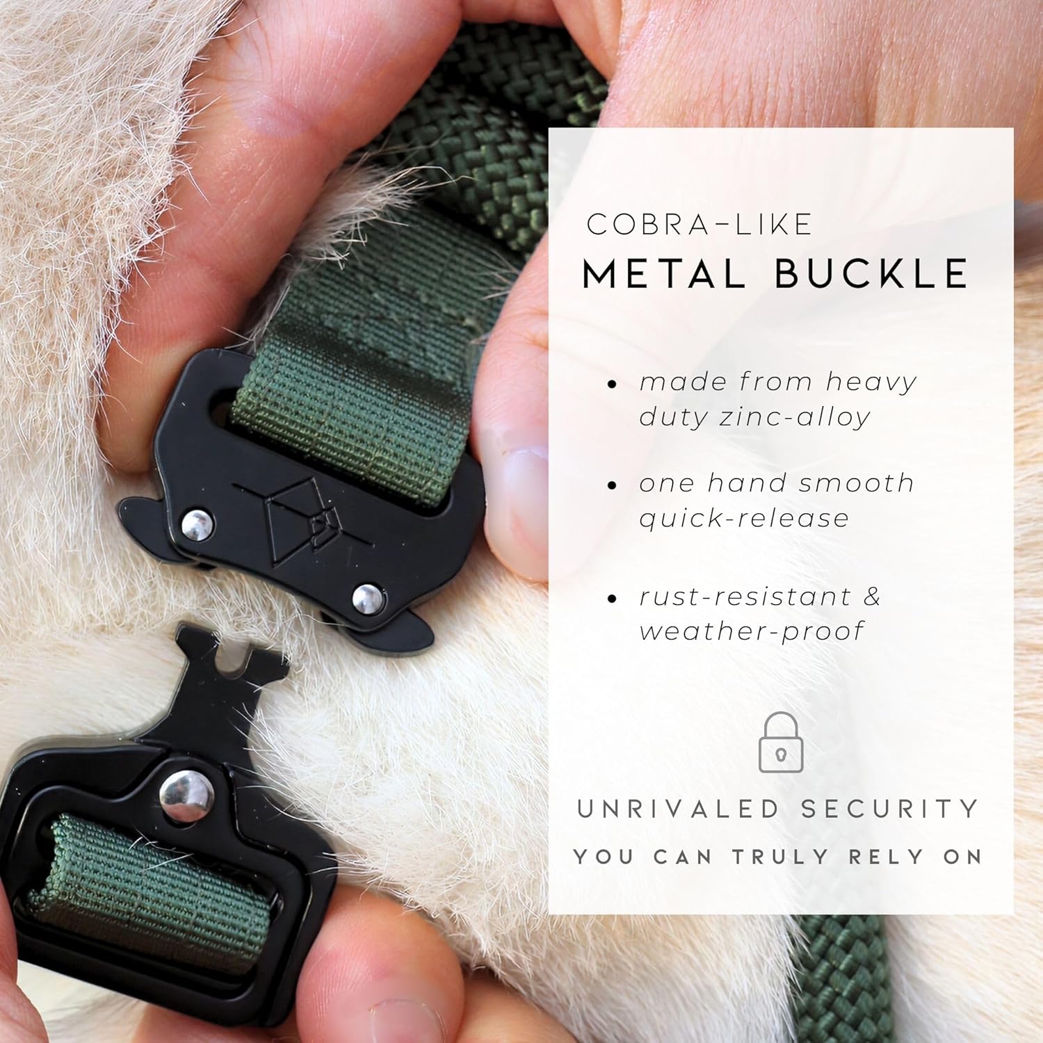 Made to ROAM Premium Dog Collar - Adjustable Heavy Duty Nylon Collar with Quick-Release Metal Buckle (Maine Marina, Classic Size 3) - Image 4