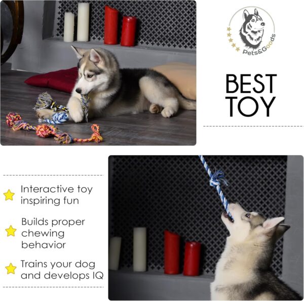Pets&Goods Dog Chew Toys – 5-Pack Cotton Rope Tug & Teething Toy – Small/Medium Dog Chew Toy for Puppies & Adult Dogs – Interactive Tug of War Rope, Dental Cleaning, Boredom Buster – Multicolor - Image 5
