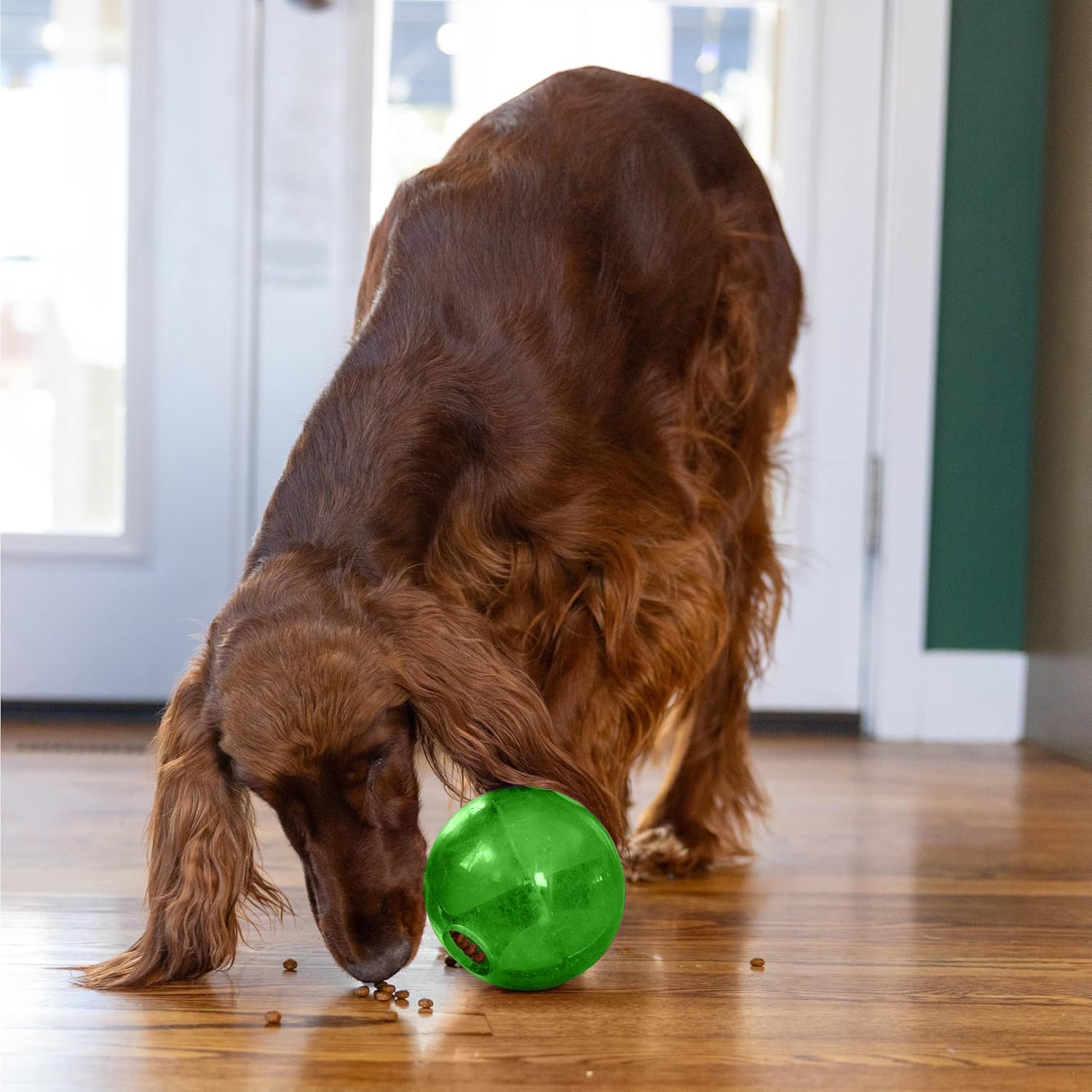 Outward Hound by Planet Dog Mazee Puzzle Ball Interactive Treat Dispensing Dog Toy, Green - Image 7