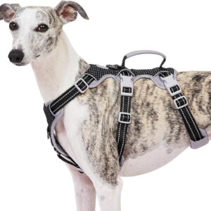 Escape Proof Dog Harness, No Pull Reflective Harness with Lift Handle, Adjustable Pet Vest with Front and Back Leash Clips for Small Medium Large Dogs Walking Hiking Training (Black,L)
