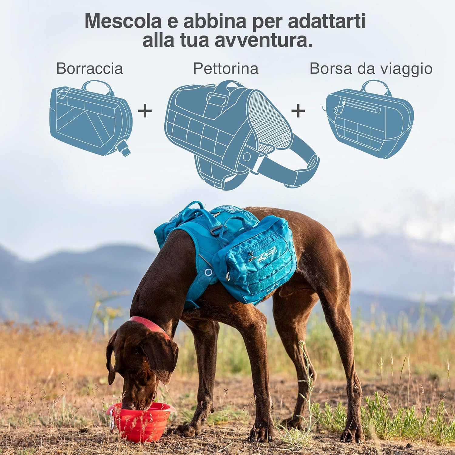 Kurgo Pet Tactical First Aid Kit, Dog First Aid MOLLE Harness Attachment, Detachable Pouch for MOLLE Dog Harness (First Aid Kit), Coastal Blue - Image 4