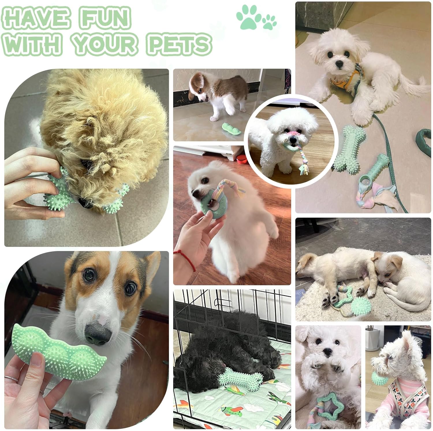 Petcare 6 Pack Small Dog Toys for Small Breed, Cute Green Puppy Teething Toys, Rubber Chew Toys, Essentials to Keep Them Busy, Best Pet Birthday Dog Toys - Image 2