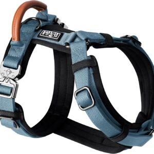 MADE TO ROAM Premium Explorer Harness - Y-Shaped Dog Harness with Adjustable Durable Nylon, Soft Padding, Metal Buckles and Leather Handle for Small, Medium, Large Dogs (California Horizon, Size 1)
