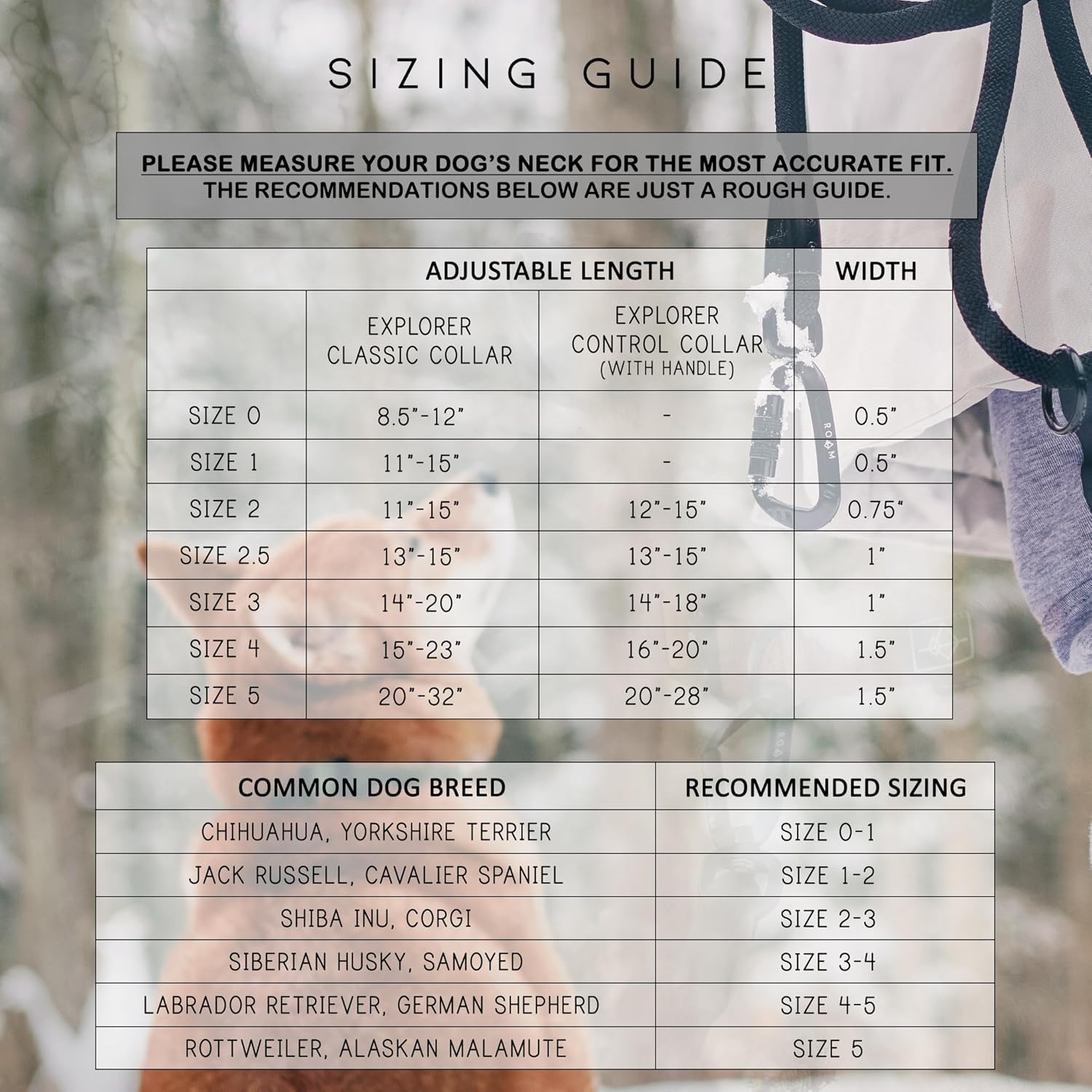 Made to ROAM Premium Dog Collar - Adjustable Heavy Duty Nylon Collar with Quick-Release Metal Buckle (Maine Marina, Classic Size 3) - Image 5