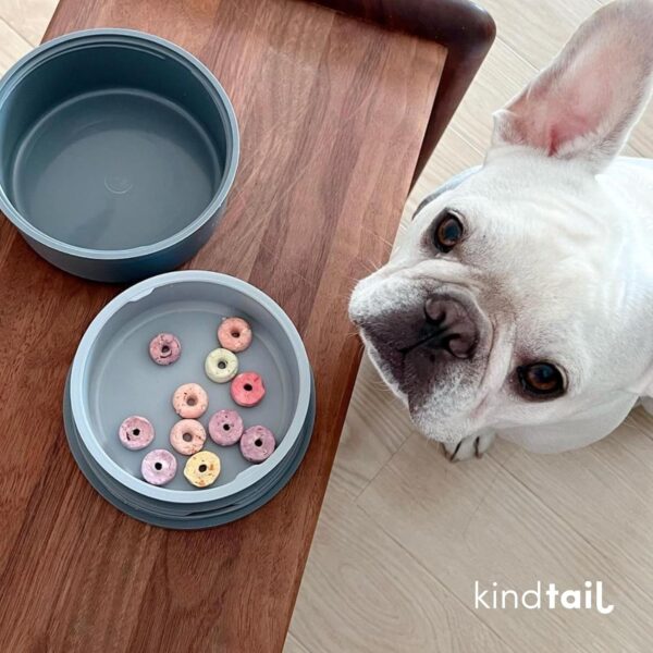 KindTail Portable Pet Feeder, Travel Dog Bowls with Lid and Handle, Microwave and Dishwasher-Safe, 10oz Inner Bowl & 20oz Outer Bowl, Grey - Image 7
