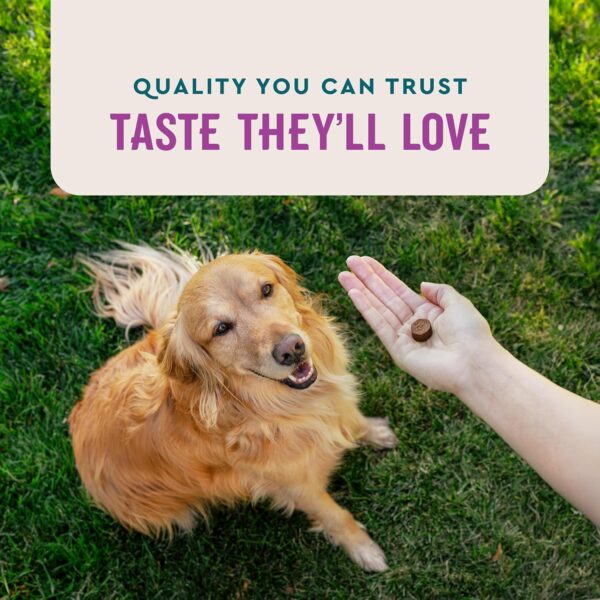 VetIQ Calming Support Supplement for Dogs, Calming Chews Help Manage Stress and Promote Relaxation, Anxiety Relief for Dogs, Made in The USA, 60 Count - Image 6