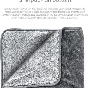 Pet Parents Pawtect Premium Waterproof Cat & Dog Blanket with Wic...