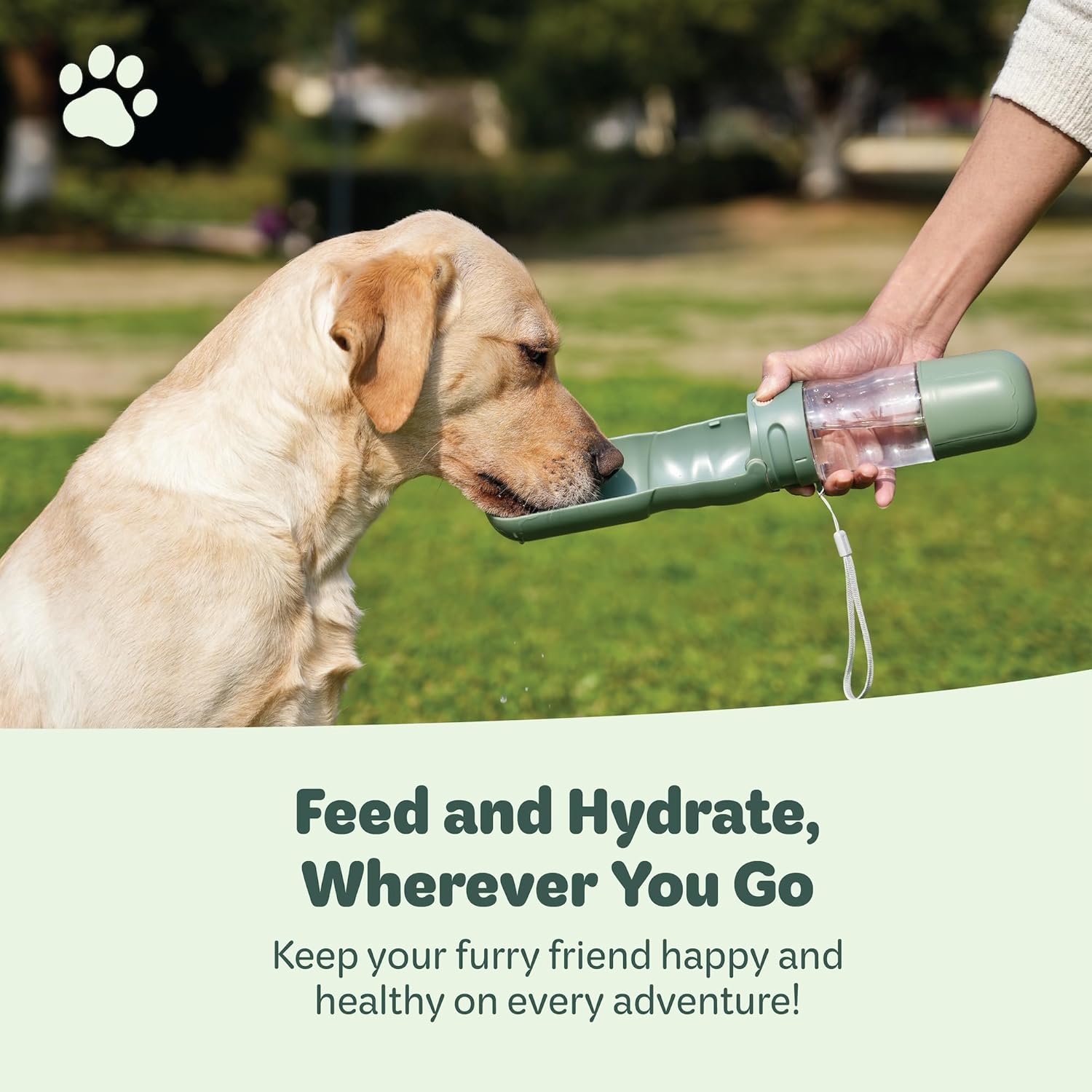 Portable Pet Food and Water Dispenser, 2 in 1 Cat & Small Dog Water Bottle & Food Container, Lightweight, BPA Free Pet Water Bottle Traveling Essentials for Walking & Hiking (Green, 13oz) - Image 5