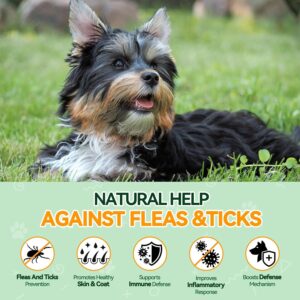 Flea and Tick Prevention for Dogs – 200 Chews Natural Dog Flea and Tick Support, Oral Flea Supplement for All Dogs, Supports Healthy Skin & Coat, Puppy Flea Protection – Chicken Flavor