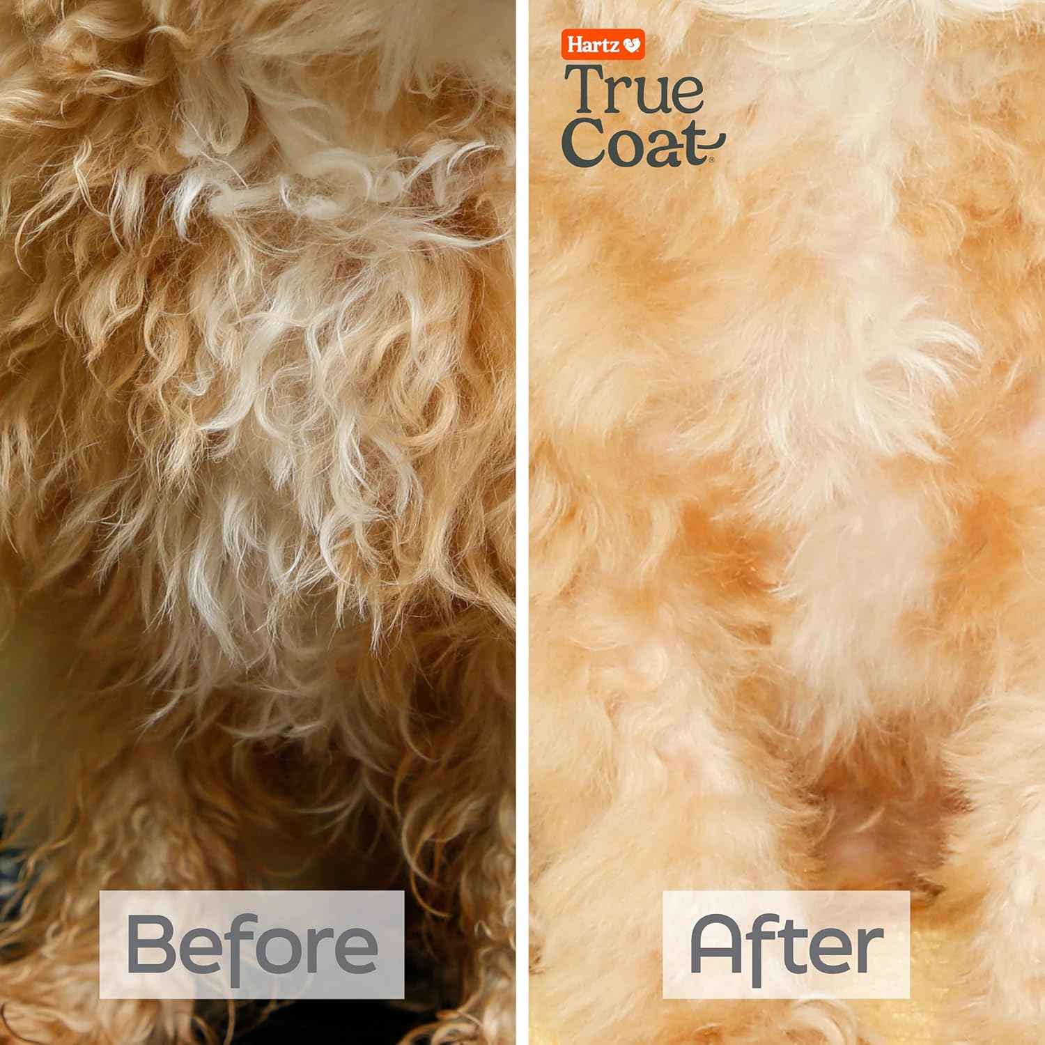 New! Hartz True Coat Curly or Wavy Coat Specific Dog Shampoo, Detangles & Conditions with Oat Milk, Coconut Oil & Shea Butter - Image 5