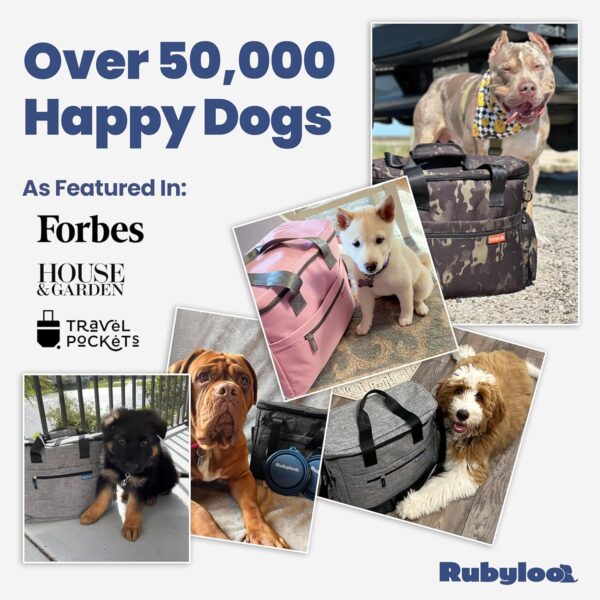The Original Doggy Bag™ - Complete Dog Travel Bag for Supplies with 2 BPA-Free Travel Dog Bowls & 2 Pet Food Containers - Traveling Kit for Road Trips, Camping, Weekend Away or Doggy Gift - Grey - Image 6